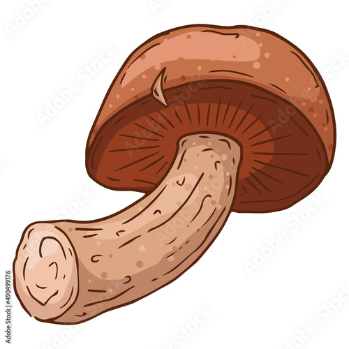 Mushroom sketch drawing. Vector illustration of a mushroom. Edible mushroom.