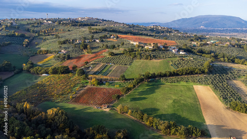 Vigne in autunno la magia dei colori