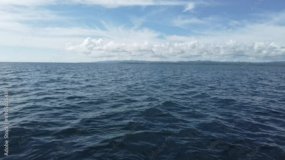 Bottlenose Dolphin jumping out of the water in the horizon Bottlenose Dolphin jumping out of the water in the horizon