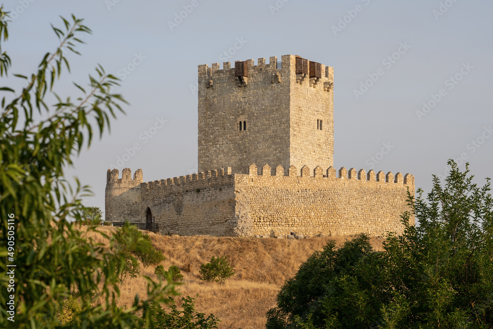 Tiedra medieval castle in the route of the castles in a sunny day, Castilla y León, Spain