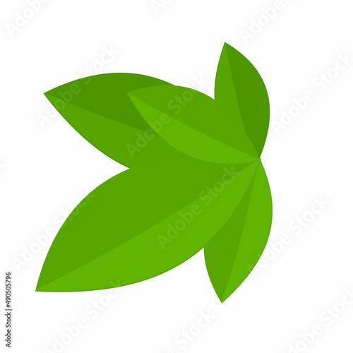 Leaf. Green leaves, vector illustration