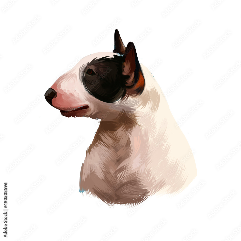 Miniature Bull Terrier dog breed isolated on white background digital art  illustration. Egg shape head dog, Bull terrier portrait hand drawn  realistic clipart showing tongue domestic pet profile view. Illustration  Stock