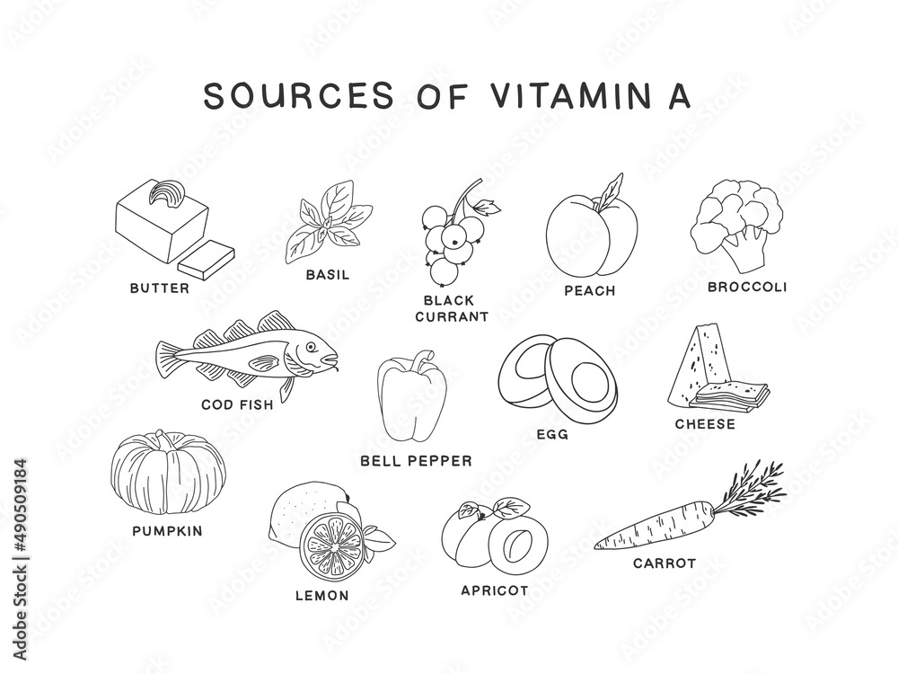 Sources of vitamin A set of hand drawn black and white icons isolated on white background. Proper nutrition vector illustration in line style