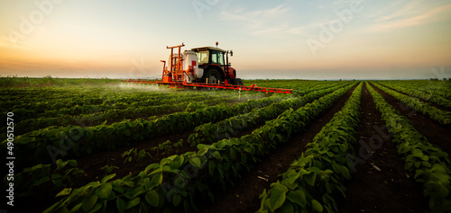 Tractor spraying soybean field at spring
