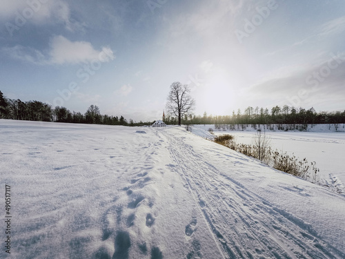 winter landscape with snow