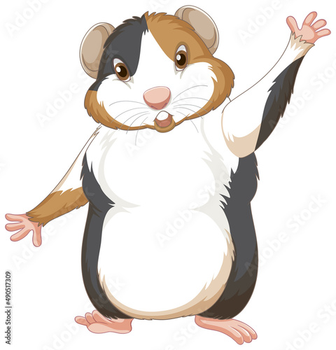 A Cute guinea pig on white background