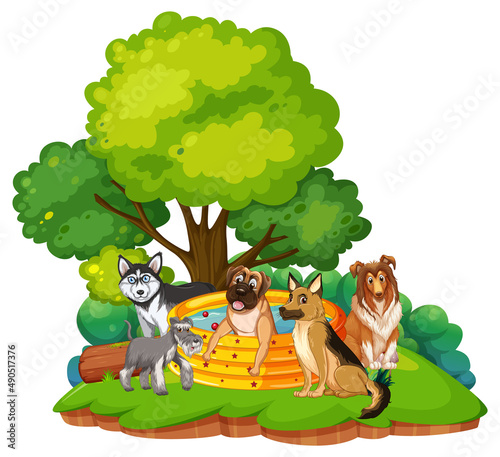 Different pet playing in park