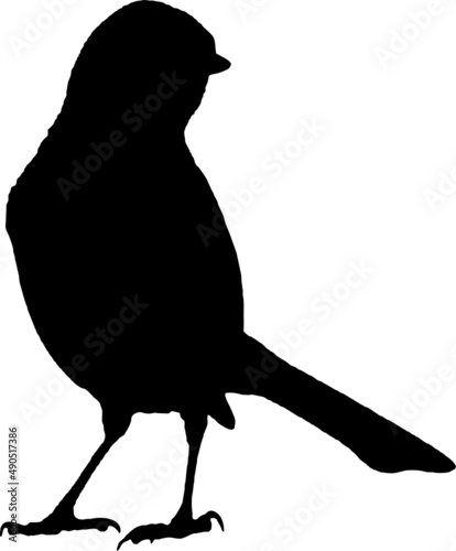 Oiseau mésange vecteur noir fond transparent
