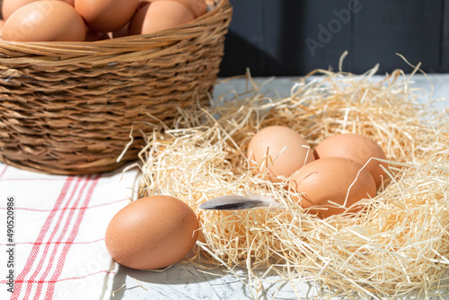 Fresh chicken eggs in the nest, close up