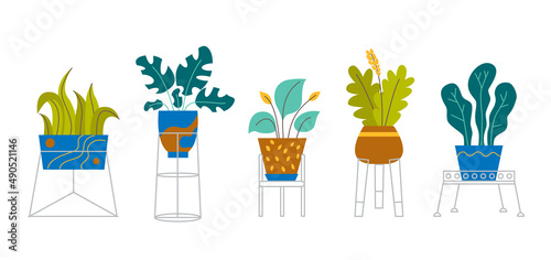 A set of trendy potted plants and flowers for the home. Various houseplants and flowers in stands isolated on white background. Monstera, cactus, strelitzia and oxalis. Color flat vector illustration.