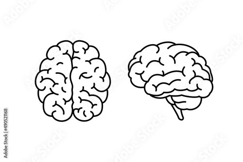 Photo Human brain top and fside view