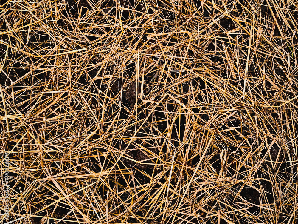 Dry straw on the fertilizer soil prepare for planting. Dry straw on the fertilizer soil prepare for planting.