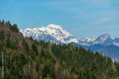 Scenic view of snow capped mountain peaks of Karawanks near Sinacher Gupf in Carinthia, Austria. Mount Mittagskogel and Dobratsch is visible through dense forest in early spring. Sunny Rosental