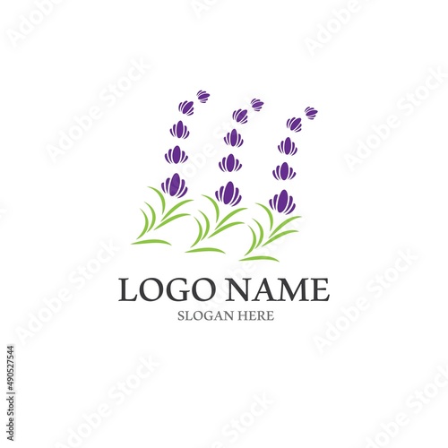 Fresh Lavender flower logo vector