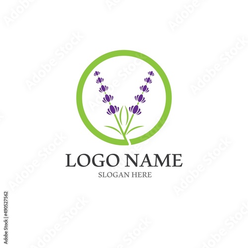 Fresh Lavender flower logo vector