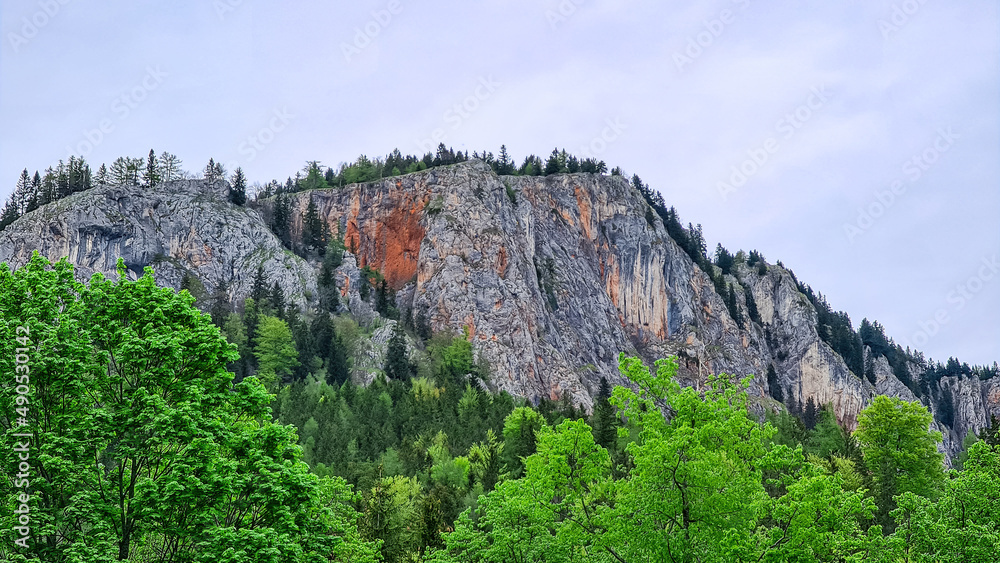 Scenic view on mount Rote Wand near Mixnitz in Styria, Austria. Morning landscape of alpine meadow and rock formation in the  valley of Grazer Bergland in Styria, Austria. Overcast