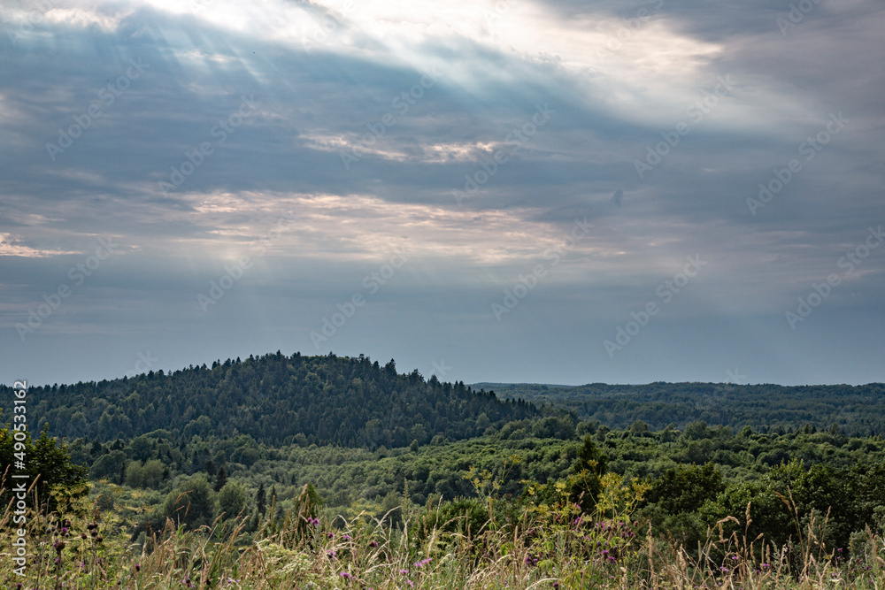 Obraz premium hilly landscape
