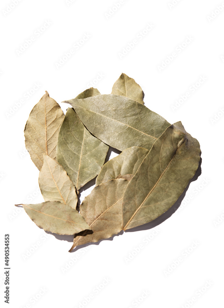 Bay leaf spices cooking with white background Bay leaf spices cooking with white background