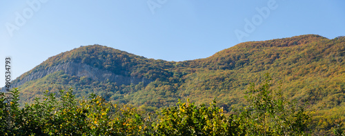 Panorama of picturesque forest mountains
