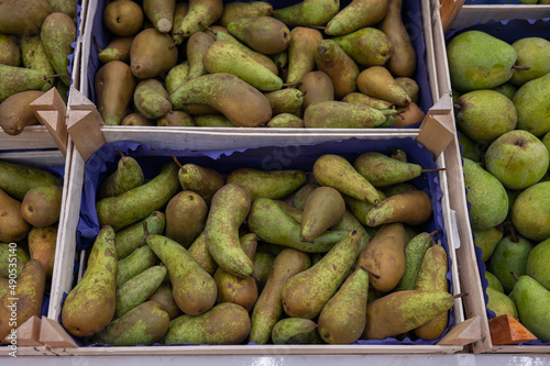 Assortment of fresh pear fruits at market