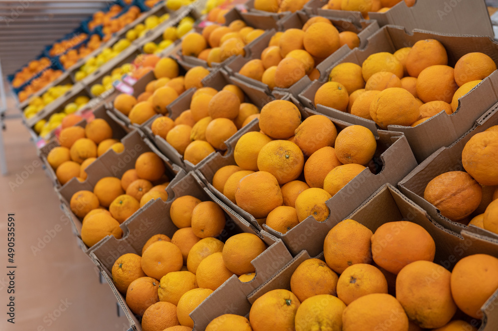 Assortment of fresh orange fruits at market