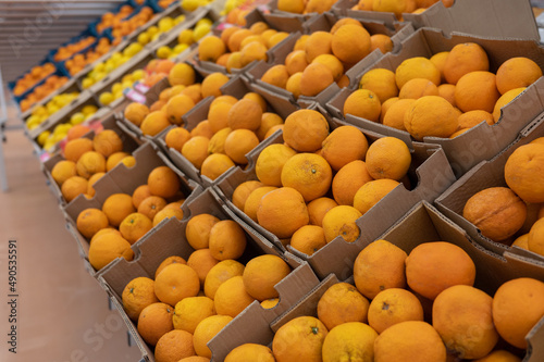Assortment of fresh orange ...