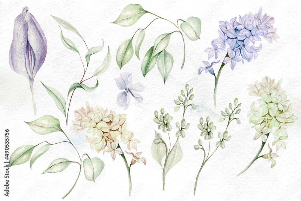 Beautiful tender watercolor set with different flowers and leaves. Illustration... Beautiful tender watercolor set with different flowers and leaves. Illustration...