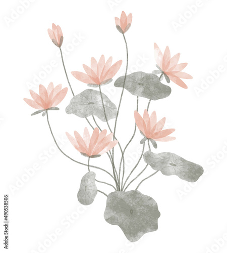 Watercolor trendy plant. Vector illustration for web, app and print. Elegant feminine shape floristic isolated lotuses flowers. Garden, botanical, minimalistic floral element.