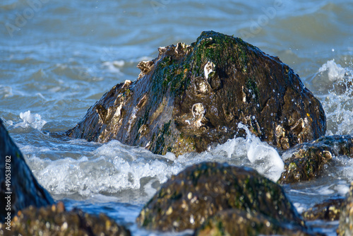 The waves of the North Sea wash large stones. Kiikduin beach. Netherlands.