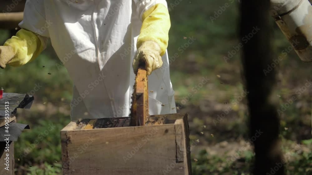 Beekeeper opens box of bees in order to inspect the hive - Slow Motion Beekeeper opens box of bees in order to inspect the hive - Slow Motion