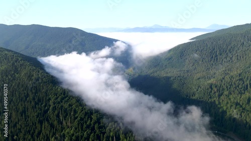 aerial view above the clouds mountains range covered with pine tree forest photo