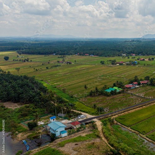 Aerial drone view of green paddy fields in Sungai Rambai, Melaka, Malaysia. photo