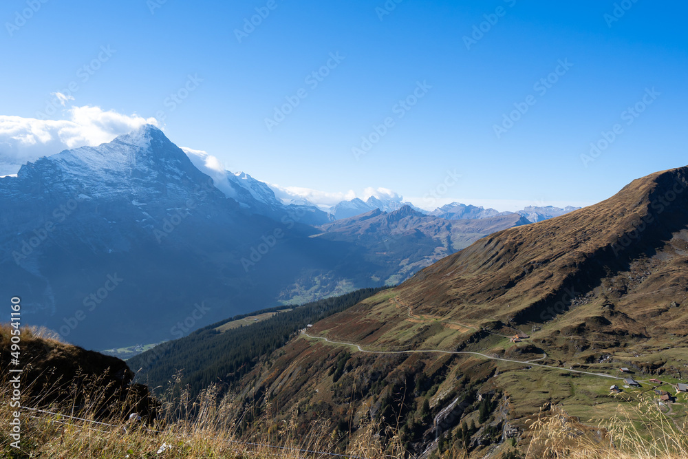 The high of mountain area with golden grasses, as a viewpoint of the fantastic landscape of Matterhorn mountain ranges and mountain peak covered with white clouds in a fresh, clean, clear blue skies.