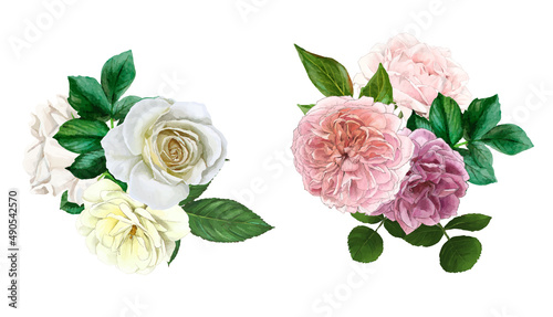 White and pink bouquets, english roses, hand drawn
