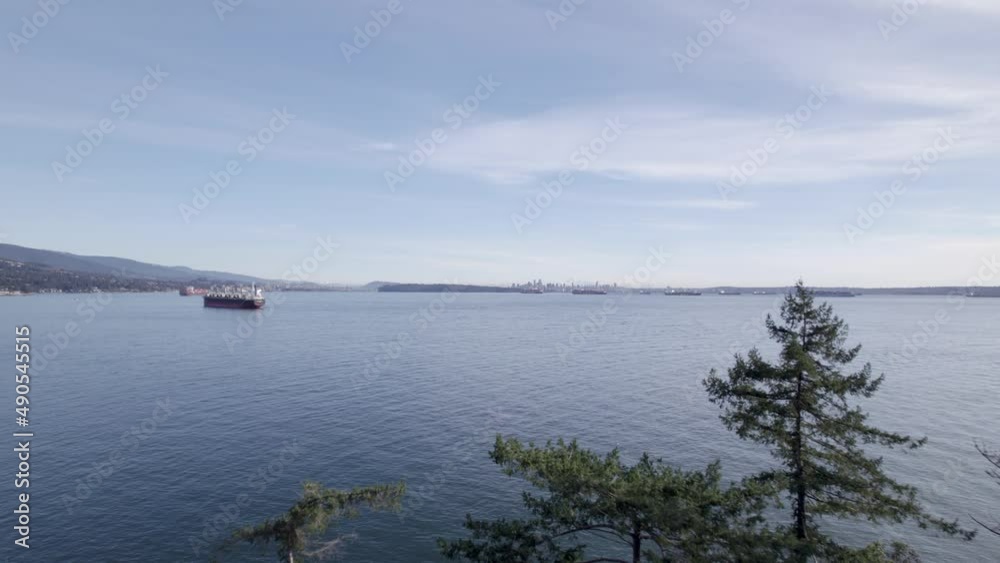 Drone flying between trees with cargo ship in background, Vancouver in Canada. Aerial forward Drone flying between trees with cargo ship in background, Vancouver in Canada. Aerial forward