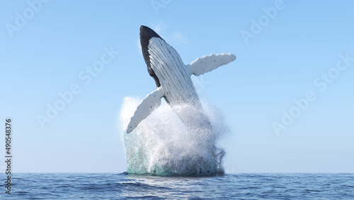 Canvas Print Humpback whale jumps out of the water
