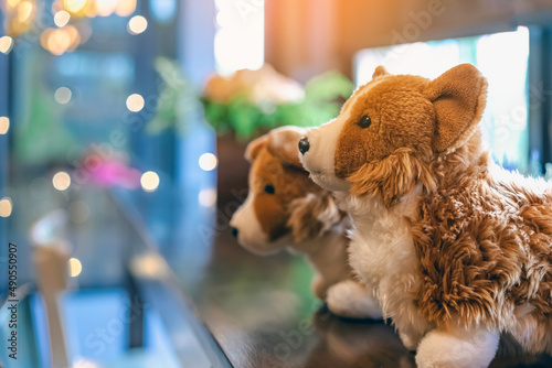 Photography Cute white and brown dogs doll sit on counter near large glass window in coffee shop