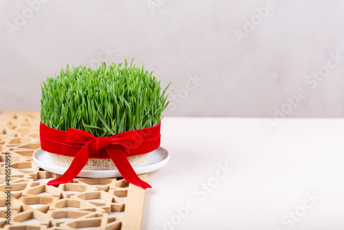 Green fresh semeni sabzi wheat grass in white plate decorated with red ribbon with wooden shebeke pattern  Novruz spring equinox celebration in Azerbaijan