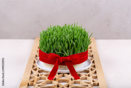 Green fresh semeni sabzi wheat grass in white plate decorated with red ribbon with wooden shebeke pattern  Novruz spring equinox celebration in Azerbaijan