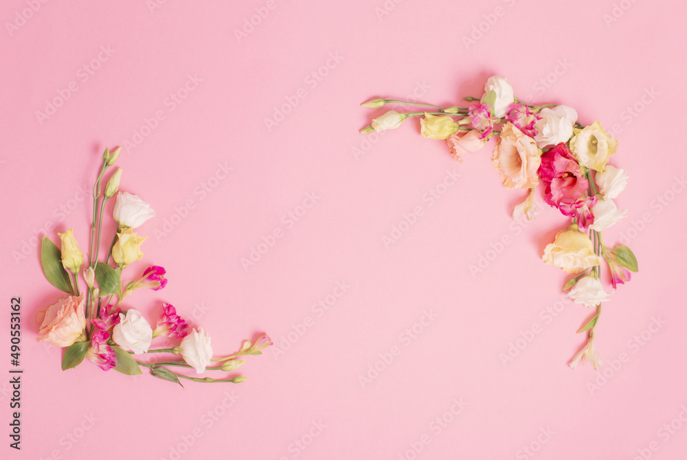 spring beautiful flowers on pink background spring beautiful flowers on pink background