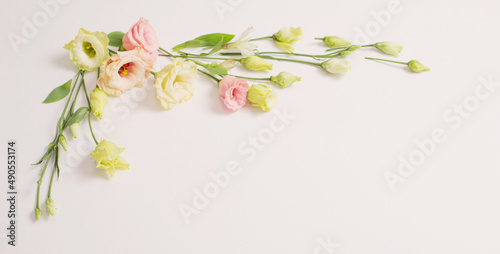 spring beautiful flowers on white background