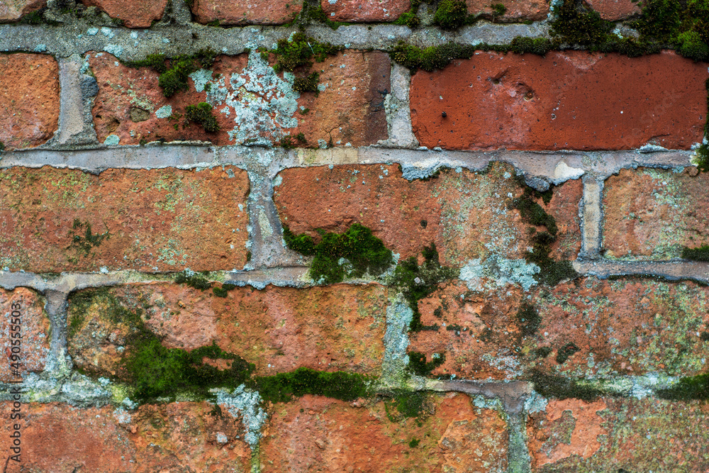 old brick wall with moss old brick wall with moss