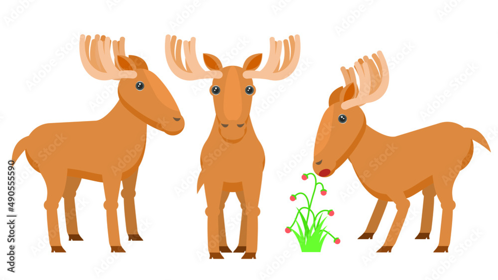 Set Abstract Collection Flat Cartoon Different Animal Moose Elk Stand, Eating Berries Vector Design Style Elements Fauna Wildlife 