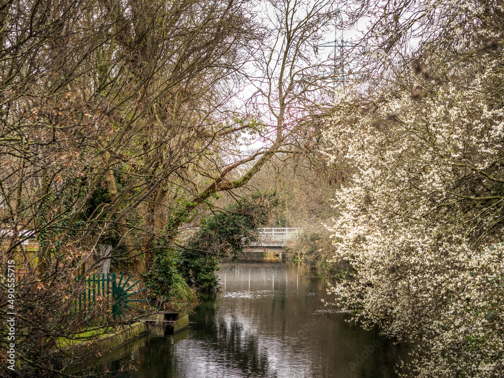 View along the River Wandle, Wandsworth in London. February 2022 with beautiful early spring blossom. View along the River Wandle, Wandsworth in London. February 2022 with beautiful early spring blossom.