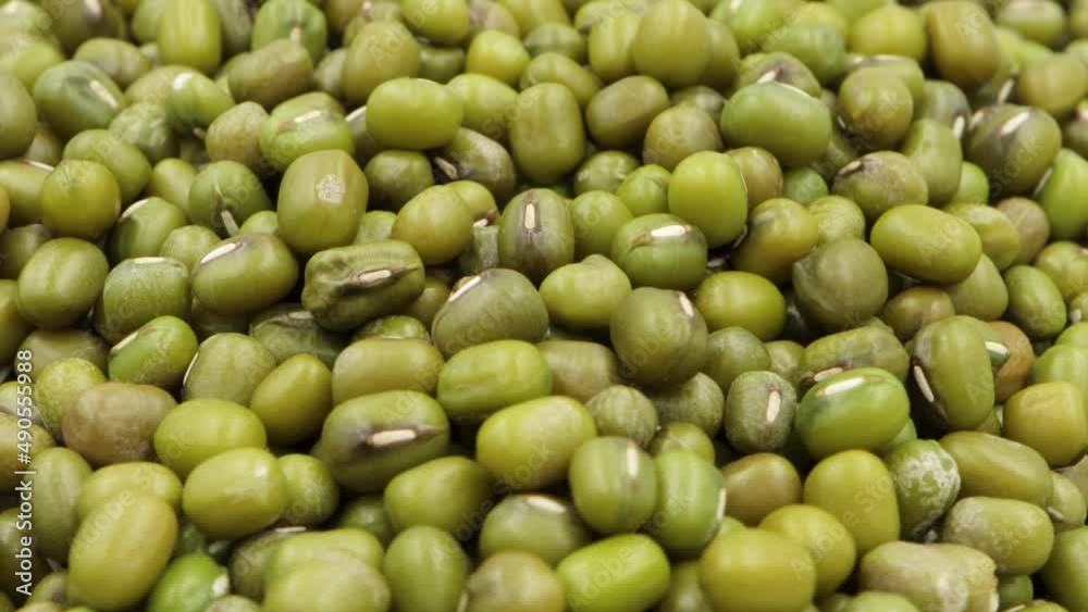 Close up mung bean isolated white background. Close up mung bean isolated white background.