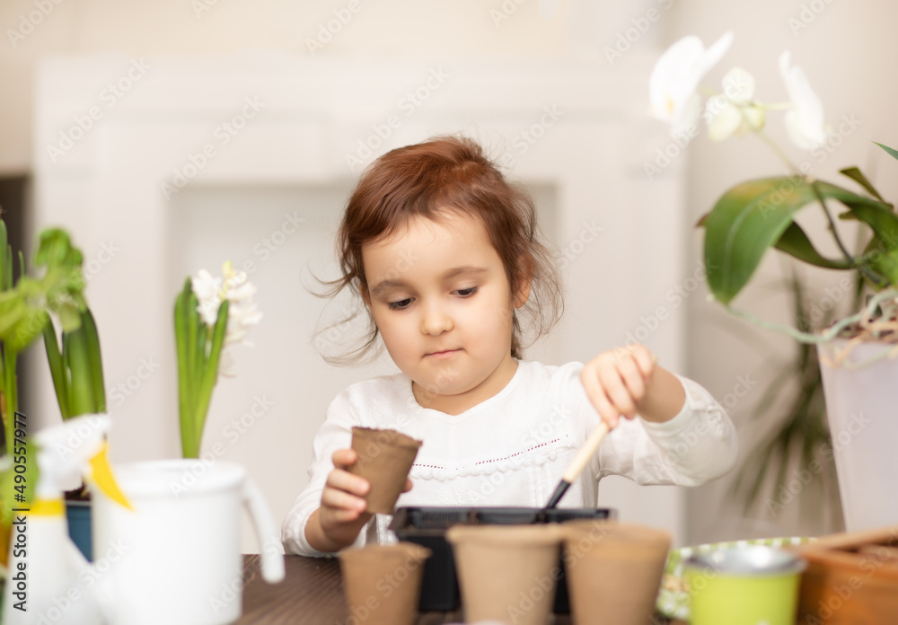 Home gardening. Little kid girl helping to care for home plants, green environment at home Home gardening. Little kid girl helping to care for home plants, green environment at home