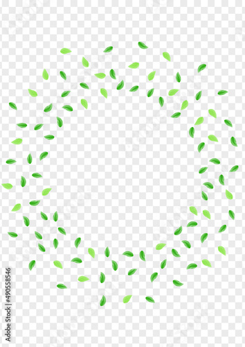 Green Plant Background Transparent Vector. Sheet Refreshing Illustration. Elegant Card. Greenish Beauty Texture. Leaves Creative.