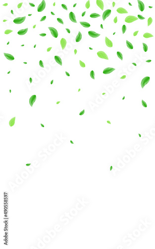 Greenish Vegetation Background White Vector. Sheet Healthy Design. Simple Illustration. Light Green Organic Card. Leaf Cover.