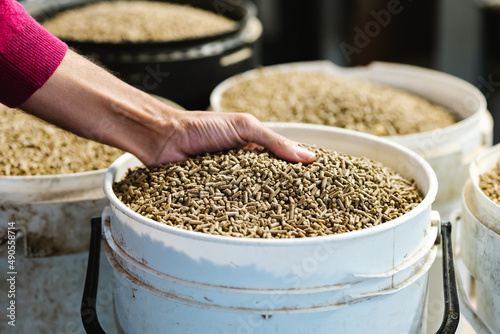 Unrecognizable farmer taking pelleted feed photo