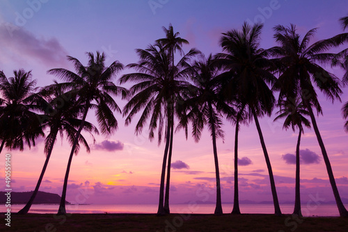 Tropical sunset at ocean beach with coconut palm trees silhouettes
